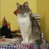 Отзыв от Нина Белова